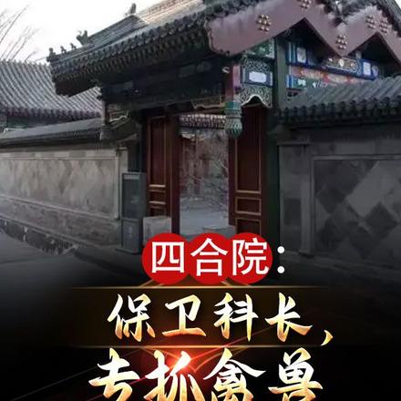 四合院:保卫科长,专抓禽兽