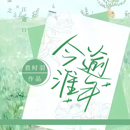 今逾淮年