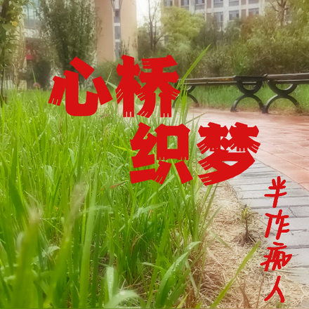 心桥织梦