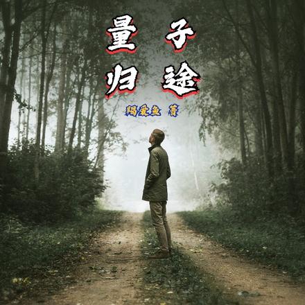 量子归途