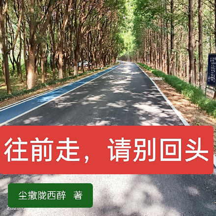 往前走,请别回头