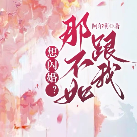 想闪婚？那不如跟我