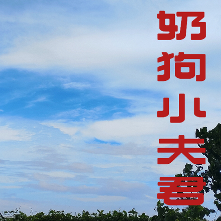 偏执奶狗小夫君