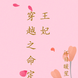 穿越之命定王妃