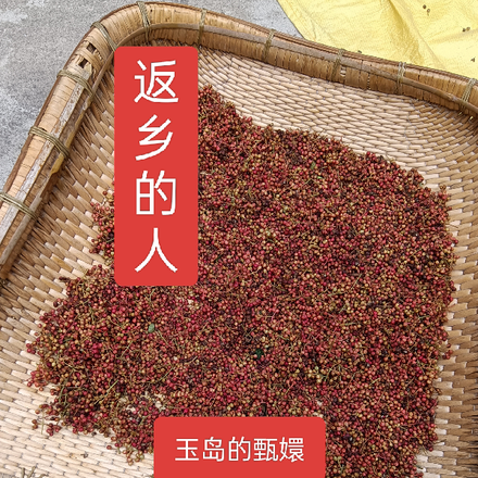 返乡的人