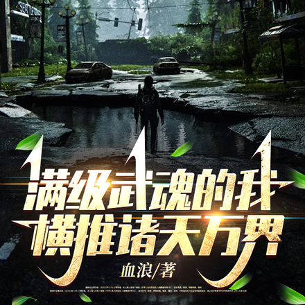 满级武魂的我,横推诸天万界