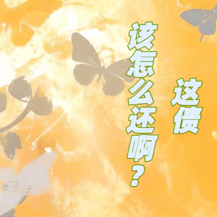 这债该怎么还啊？