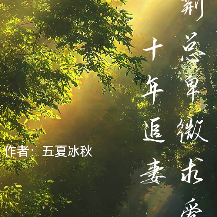 十年追妻，荆总卑微求爱