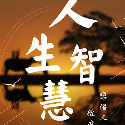 你的智慧人生