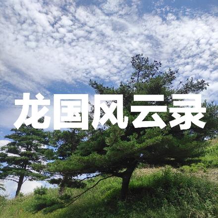 龙国风云录