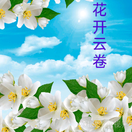 花开云卷