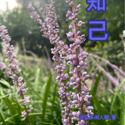 存知己