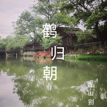鹤归朝
