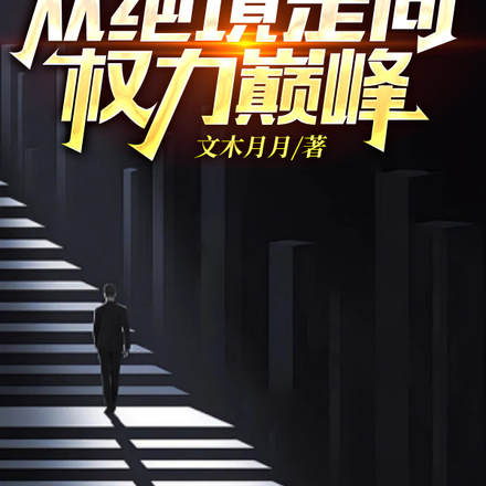 逆袭人生,从绝境走向权力巅峰