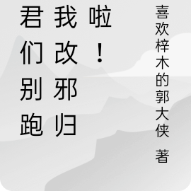 夫君们别跑,我改邪归正啦!