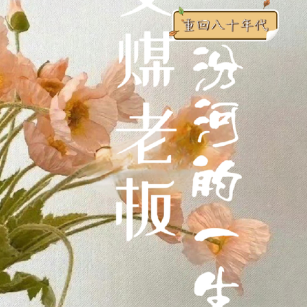 重回八十年代女煤老板汾河的一生