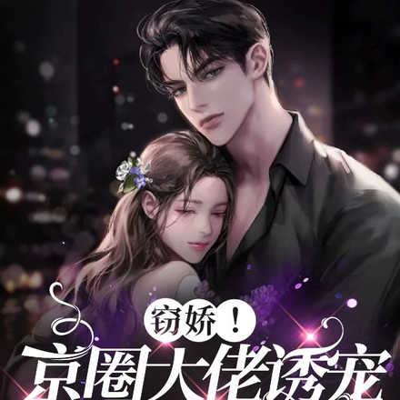 窃娇!京圈大佬诱宠天价小娇妻