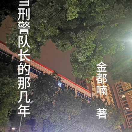 我当刑警队长的那几年