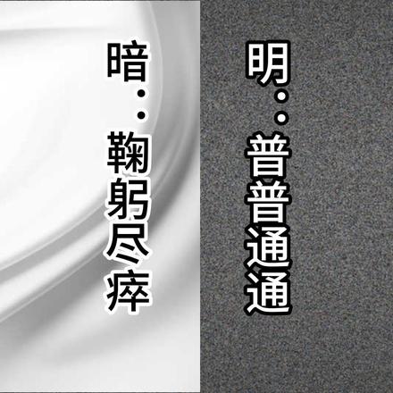 明:普普通通,暗:鞠躬尽瘁