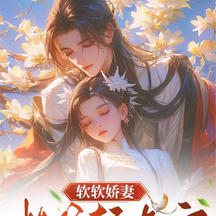 软软娇妻,相爷轻点宠