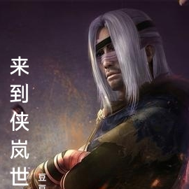 来到侠岚的世界后