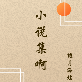 小说集啊