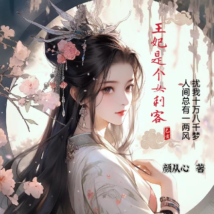王妃是个女刺客