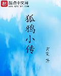 狐鸦小传