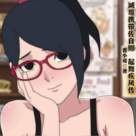 诚哥开局携带佐良娜,起舞疾风传