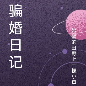 骗婚日记