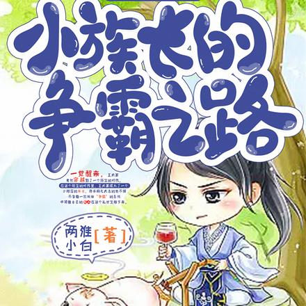 悲催的穿越:小族长的争霸之路