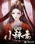 掌家小辣妻