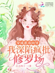 穿成恶毒向导,我深陷疯批修罗场