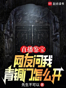 直播鉴宝:网友问我青铜门怎么开