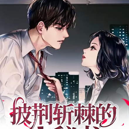 披荆斩棘的小秘书