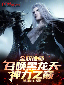 全职法师:召唤黑龙天,神力之巅