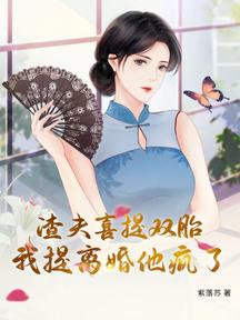 渣夫喜提双胎,我提离婚他疯了
