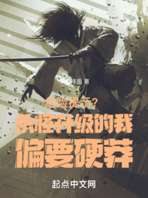 危险提示?杀怪升级的我偏要硬莽