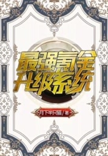 最强氪金升级系统
