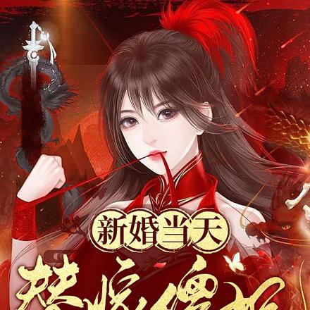 新婚当天替嫁傻妃就要休夫