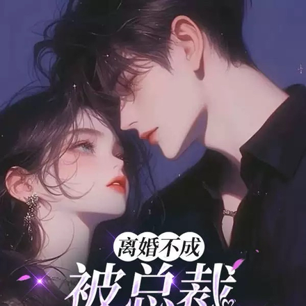宠妻无度:总裁,可以离婚吗?