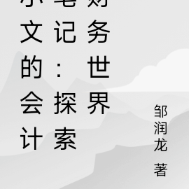小文的会计笔记：探索财务世界