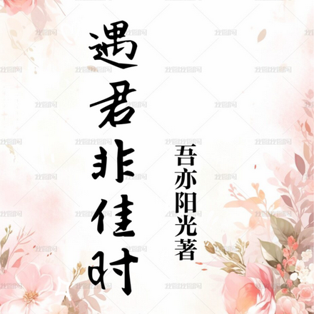 遇君非佳时