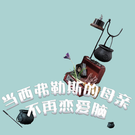 当西弗勒斯的母亲不再恋爱脑