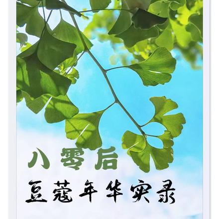 八零后豆蔻年华实录