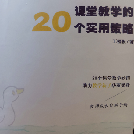 从教学新手到教学高手20个策略