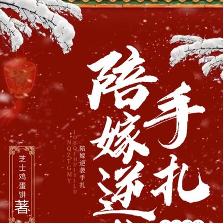陪嫁逆袭手札