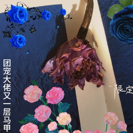 团宠大佬又一层马甲