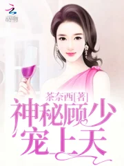 神秘顾少，宠上天