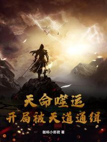 天命噬运:开局被天道通缉